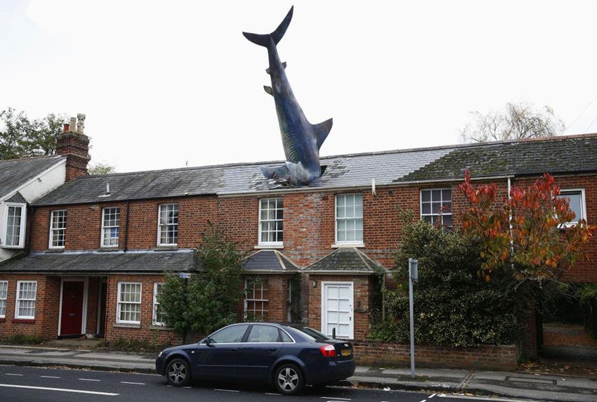 世界各地稀奇古怪的奇特房屋 鲨鱼房屋
