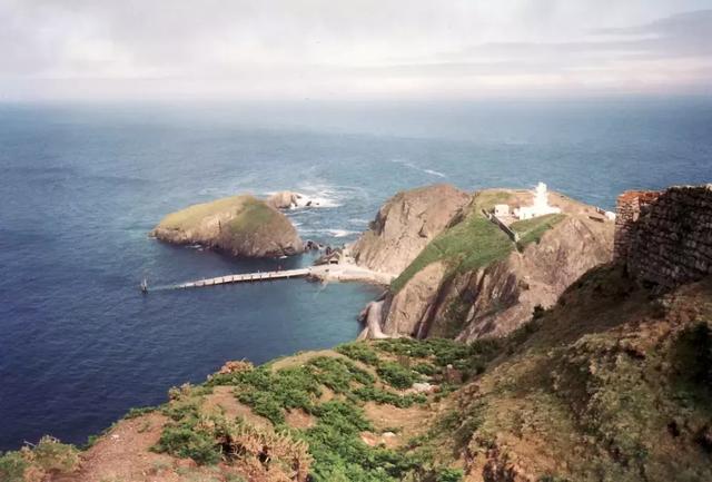 珍稀鸟类 冰岛国鸟海鹦