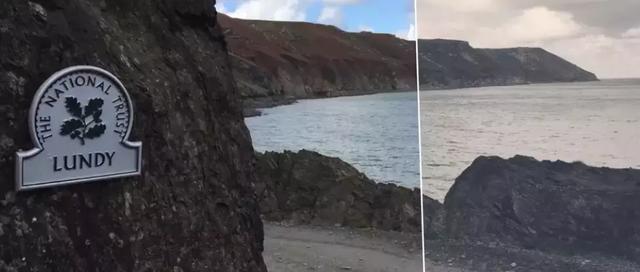 珍稀鸟类 冰岛国鸟海鹦