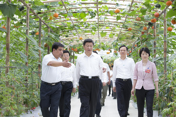 习近平在贵州遵义考察智能温控大棚