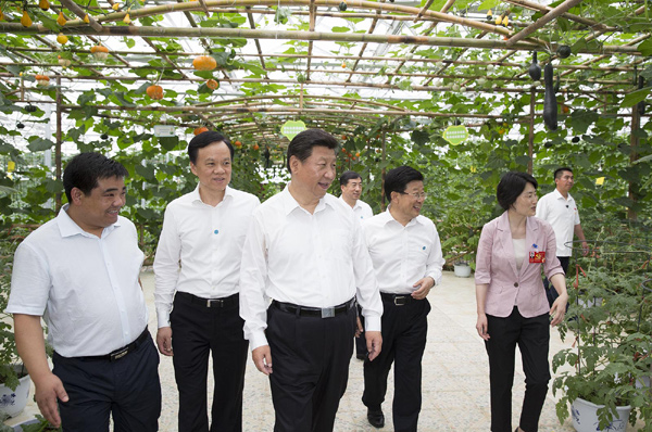 习近平在贵州遵义考察智能温控大棚