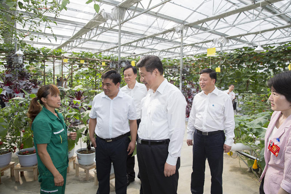 习近平在贵州遵义考察智能温控大棚