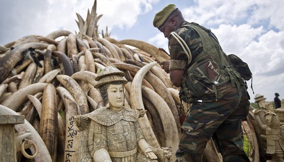肯尼亚烧毁百吨象牙